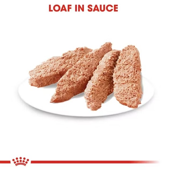Royal Canin Exigent Loaf - Пълноценна мокра храна в пауч за кучета с капризен апетит